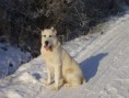 /album/fotogaleria/mix-140-jpg/